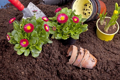 Soft landscaping preparation and planting in a Chessington garden
