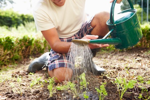 Local garden drainage assessment in Chessington with waterlogged lawn problems