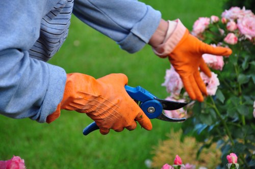 Closeboard and panel fencing options for local homes