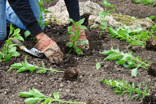 Final legal terms page for UK landscaping services and governing law