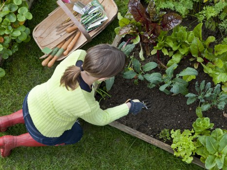 Charity partnerships for reusing landscaping materials