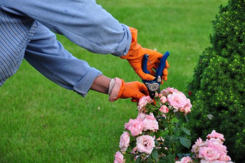 Supervisor checking safe working conditions on a landscaping site